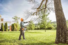 How Our Tree Care Process Works  in  Wayne City, IL
