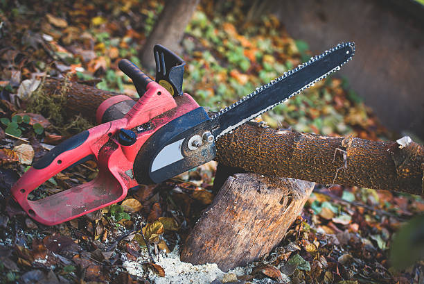 Mulching Services in Wayne City, IL